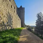 Douce Harmonie & Grand 5 Places -privatif - Cocon Au Calme - 5 Min Carcassonne (adults Only) Ferienhaus Villemoustaussou