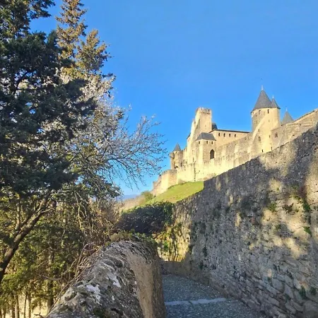 Douce Harmonie & Grand 5 Places -privatif - Cocon Au Calme - 5 Min Carcassonne (adults Only) * Villemoustaussou