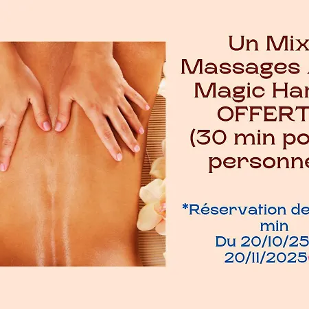- Luxe 4 étoiles -douce Harmonie Massages&spa 5 Places -cocon Discret En Toute Sérénité - 5 Min Carcassonne - 2 Adultes 1 Bébé De 0 à 2 Ans Hébergement de vacances