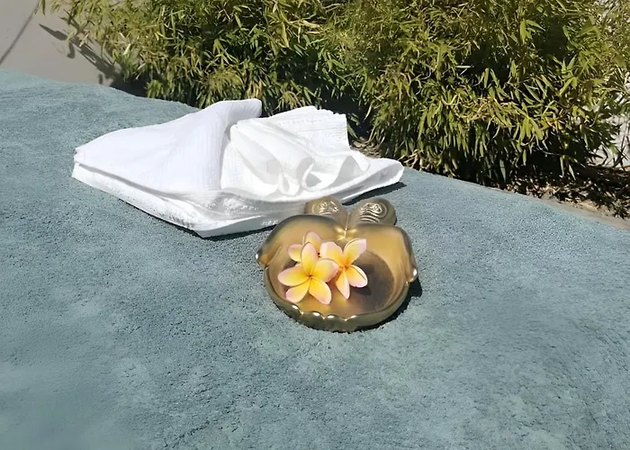 Gîte Luxe 4 étoiles -Douce Harmonie Massages&Grand SPA 5 places - Indépendant -Au calme -Jardin - Clim - Parking à 5 min Carcassonne - 2 Adultes 1 bébé de 0 à 2 ans Hébergement de vacances *