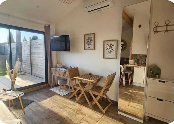 Hébergement de vacances Gîte Luxe 4 étoiles -Douce Harmonie Massages&Grand SPA 5 places - Indépendant -Au calme -Jardin - Clim - Parking à 5 min Carcassonne - 2 Adultes 1 bébé de 0 à 2 ans Villemoustaussou