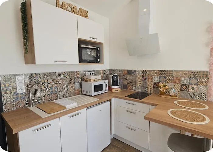 Gîte Luxe 4 étoiles -Douce Harmonie Massages&Grand SPA 5 places - Indépendant -Au calme -Jardin - Clim - Parking à 5 min Carcassonne - 2 Adultes 1 bébé de 0 à 2 ans Villemoustaussou