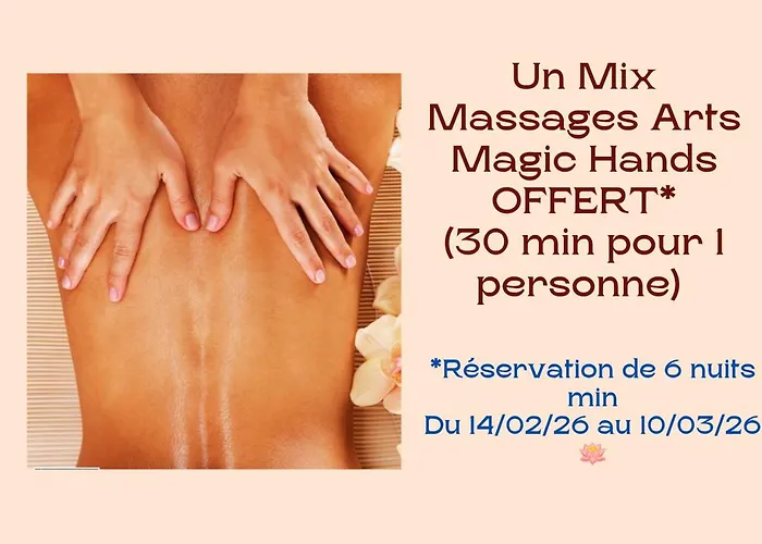 Gîte Luxe 4 étoiles -Douce Harmonie Massages&Grand SPA 5 places - Indépendant -Au calme -Jardin - Clim - Parking à 5 min Carcassonne - 2 Adultes 1 bébé de 0 à 2 ans Villemoustaussou