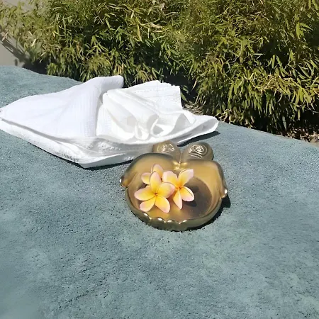 - Luxe 4 Etoiles -douce Harmonie Massages & 5 Places -cocon Discret Insolite Sans Vis A Vis En Toute Serenite - 5 Min Carcassonne Holiday home *